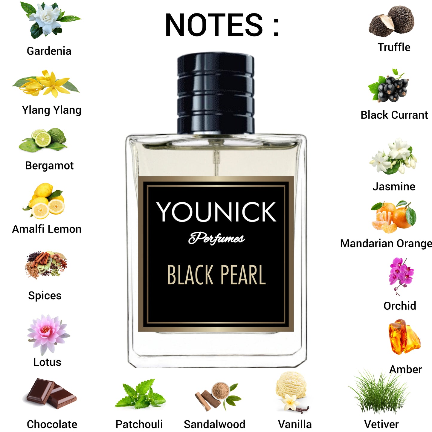 Black Pearl Unisex Perfume Eau de Parfum 50ml/100ml by Younick Inspired By Tomford Black Orchid