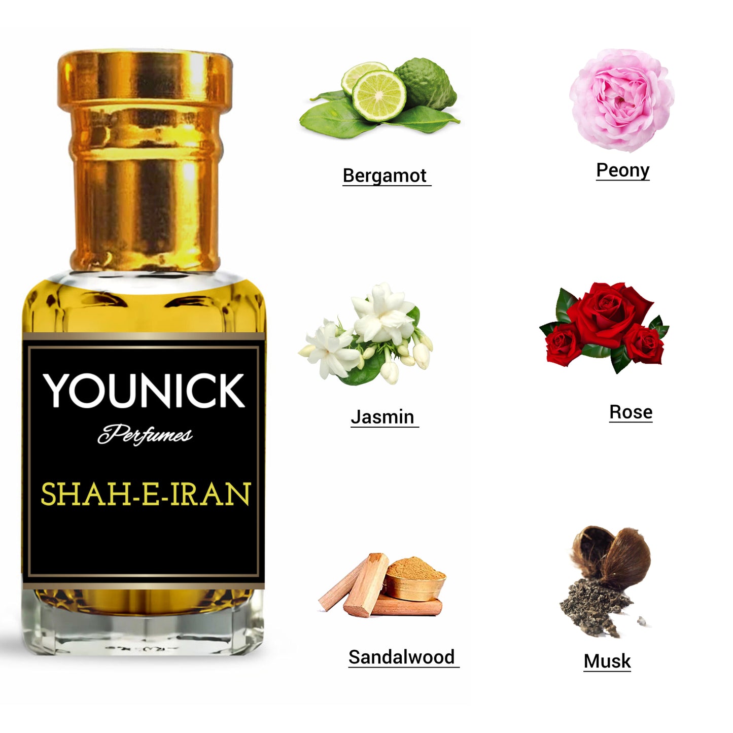SHAH-E-IRAN 6ML/12ML Attar by Younick - Luxurious Oriental Fragrance