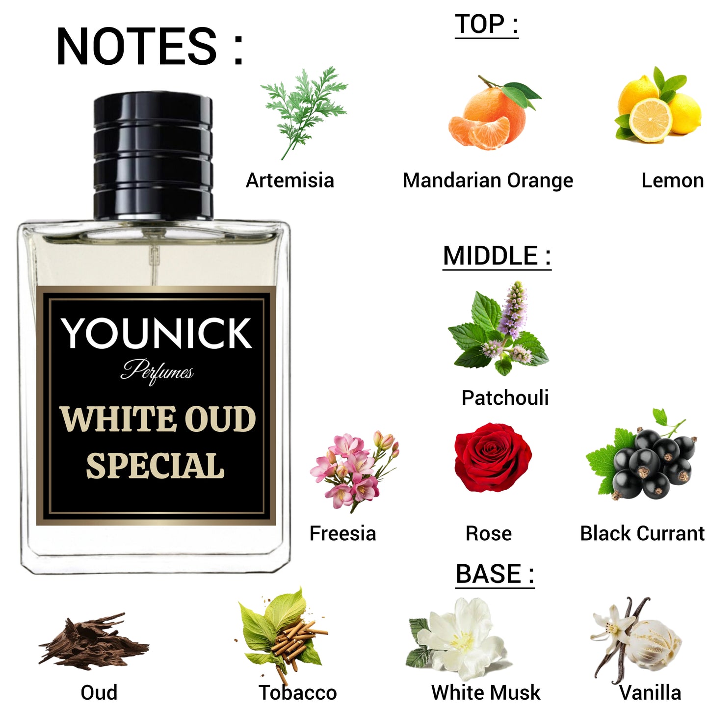 White Oud Special Eau de Parfum by YOUNICK Perfumes (50ml/100ml) – Exquisite Unisex Arabic Fragrance