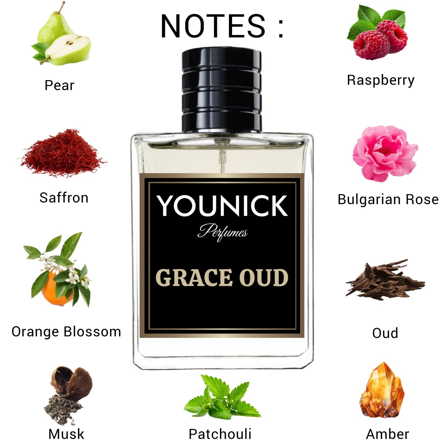 YOUNICK Grace Oud Eau de Parfum | 50ml / 100ml | Inspired by Gucci Oud