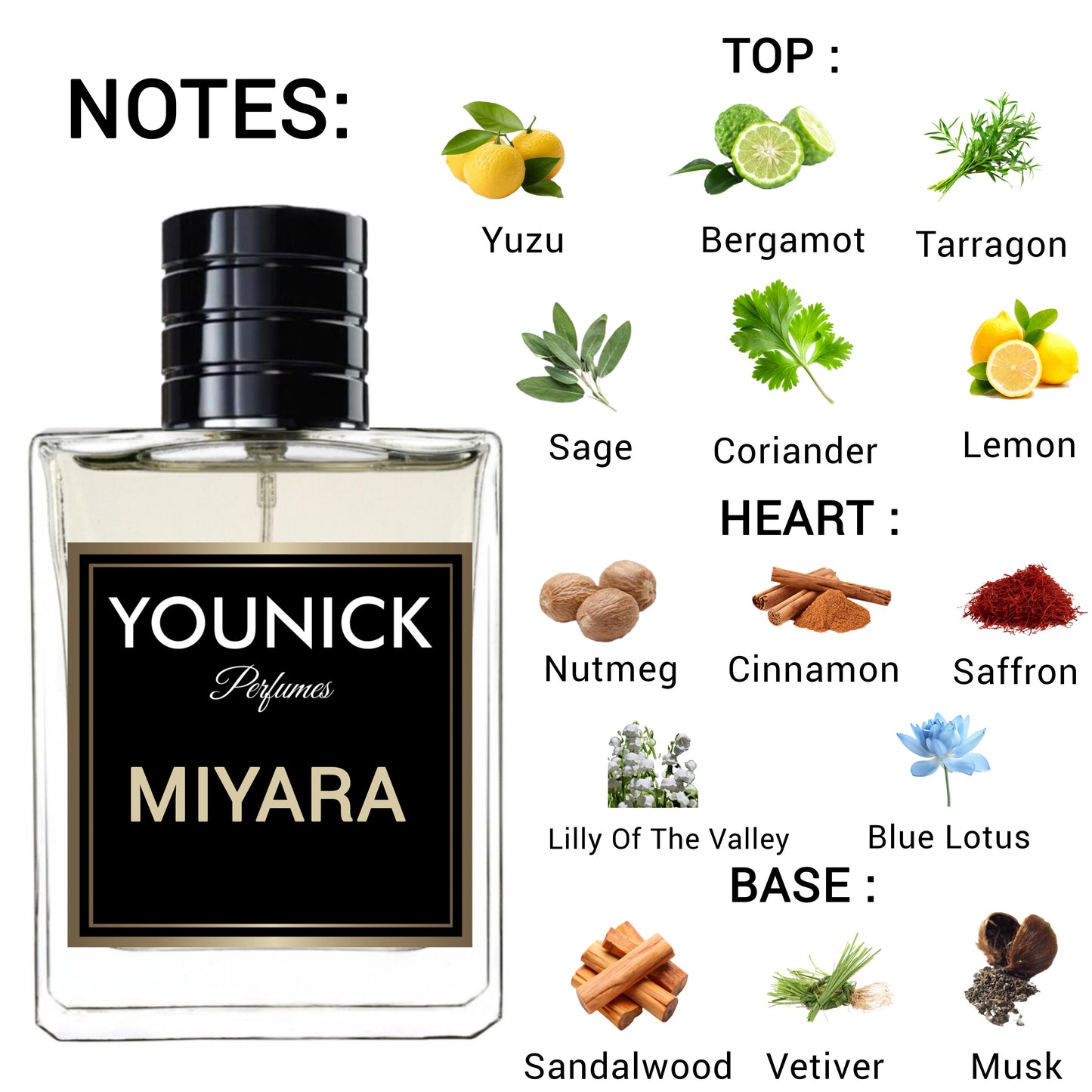 YOUNICK MIYARA Eau De Parfum – 50ml / 100ml Inspired By Iss౿y Miy𝕒ke Pour Homme A Citrusy-Spicy Elixir with a Bold Woody Trail