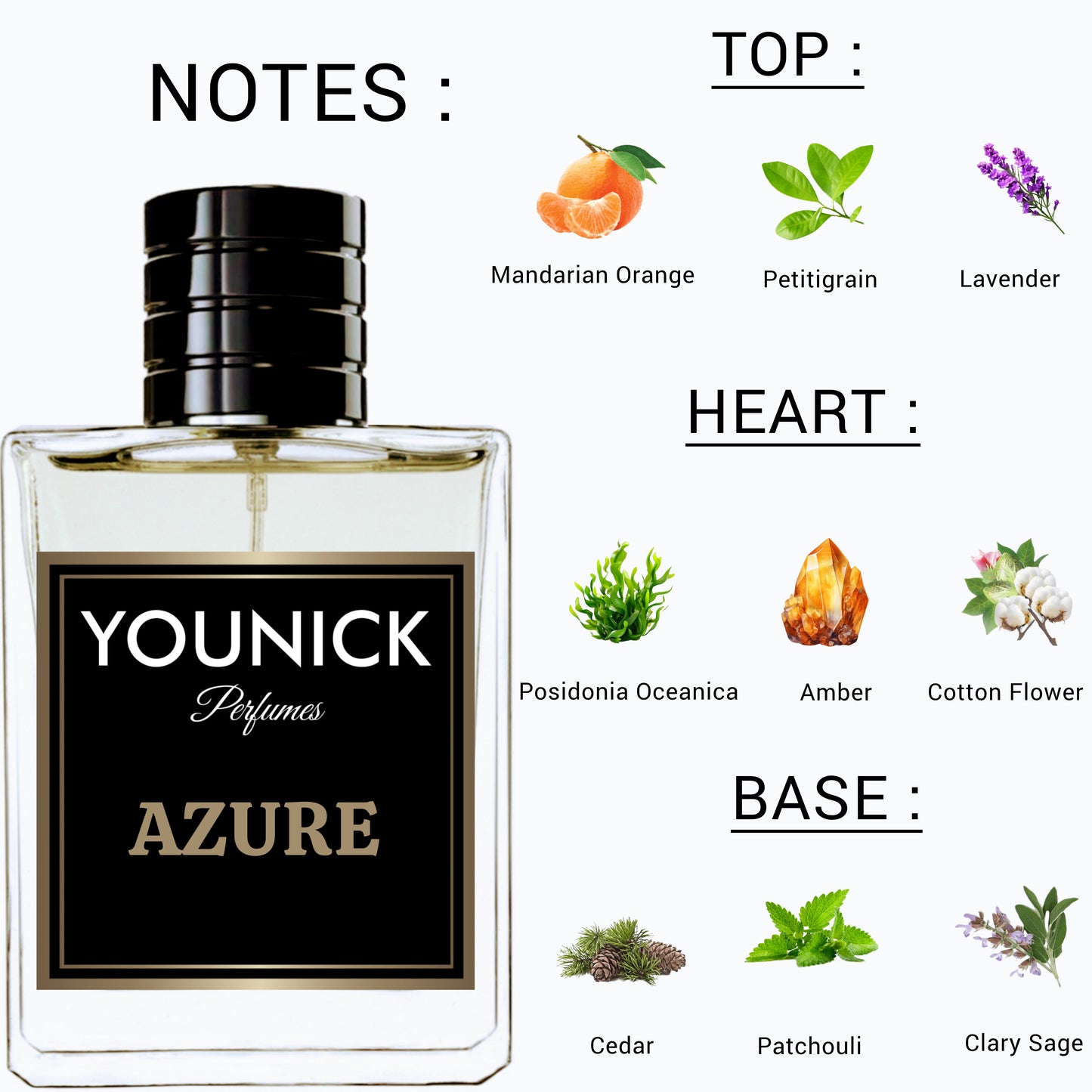 YOUNICK Azure Eau de Parfum 50ml / 100ml – Inspired by Bvlgari Aqva Pour Homme