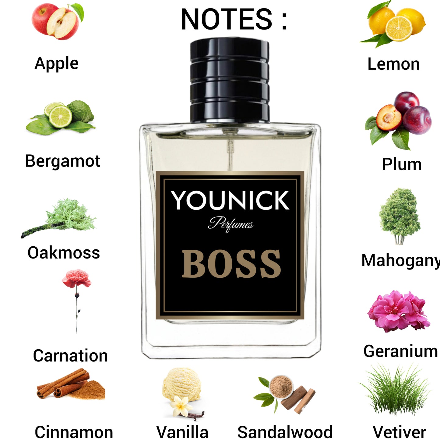 BOSS 50 ML EAU DE PARFUM BY YOUNICK PERFUMES | FRENCH PERFUME FOR MEN (INSPIRED VERSION OF H🆄GO BOSS)
