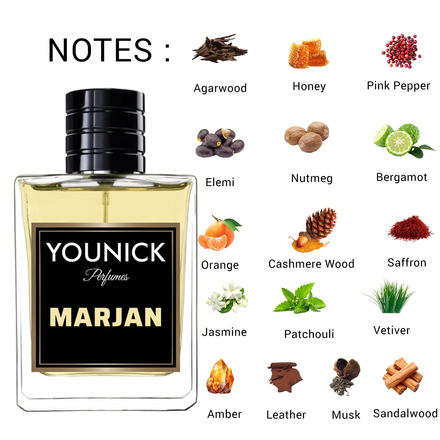 Marjan by YOUNICK Eau de Parfum – Opulent Oud & Amber Elegance Marj Ahmed Al Maghribi