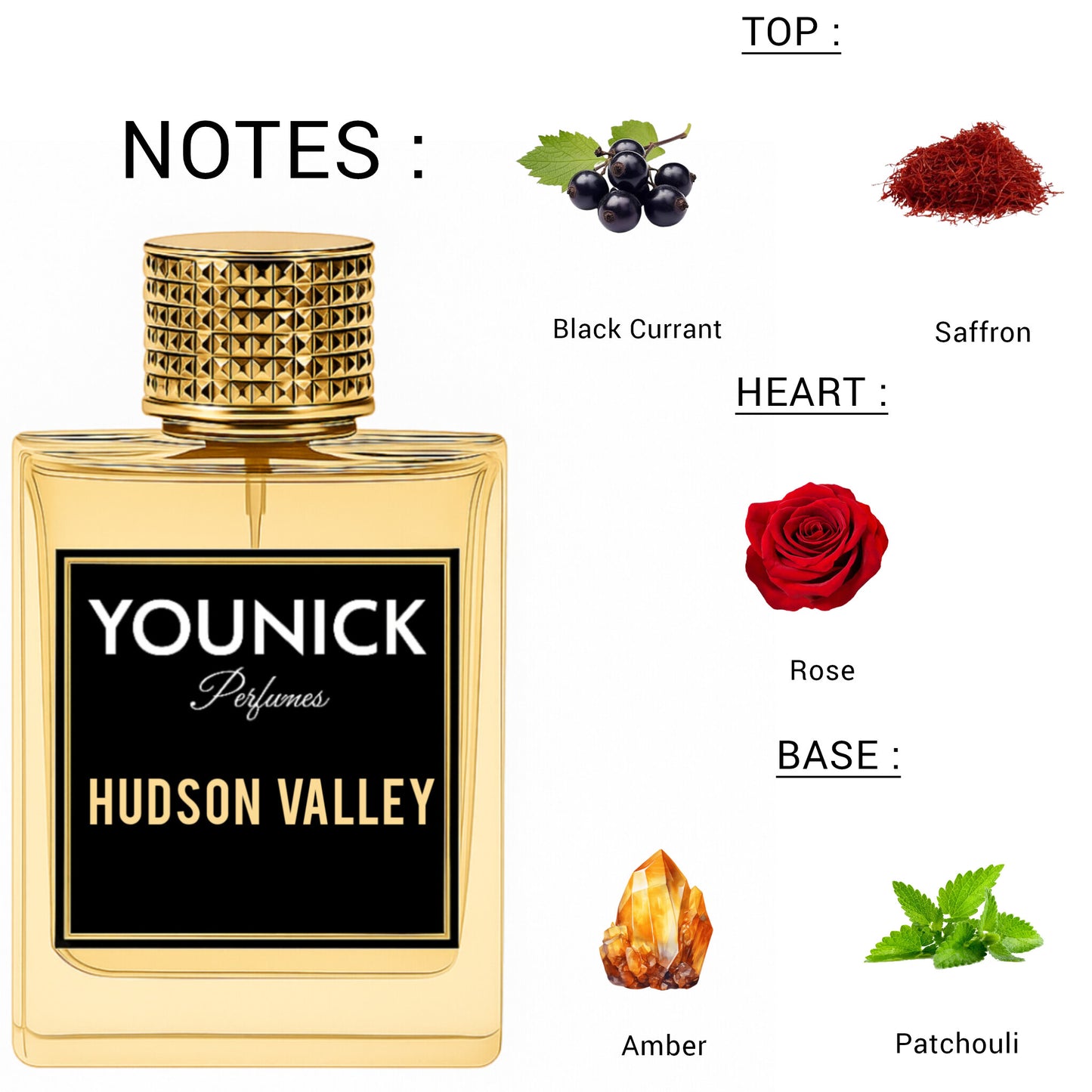 Hudson Valley by YOUNICK Eau de Parfum – 50ml / 100ml Inspired by Hudson Valley Gissah