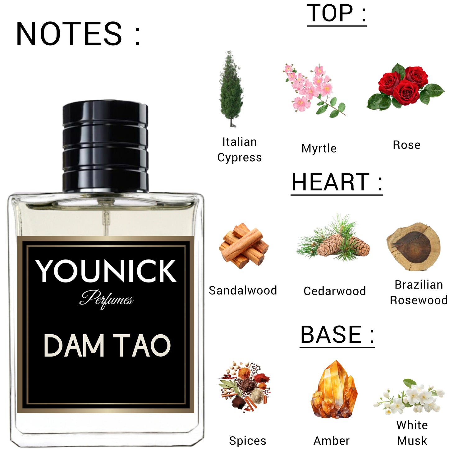 Dam Tao Eau de Parfum by YOUNICK | Inspired by Tam Dao (Diptyque) | SRK’s Iconic Scent | 50ml / 100m