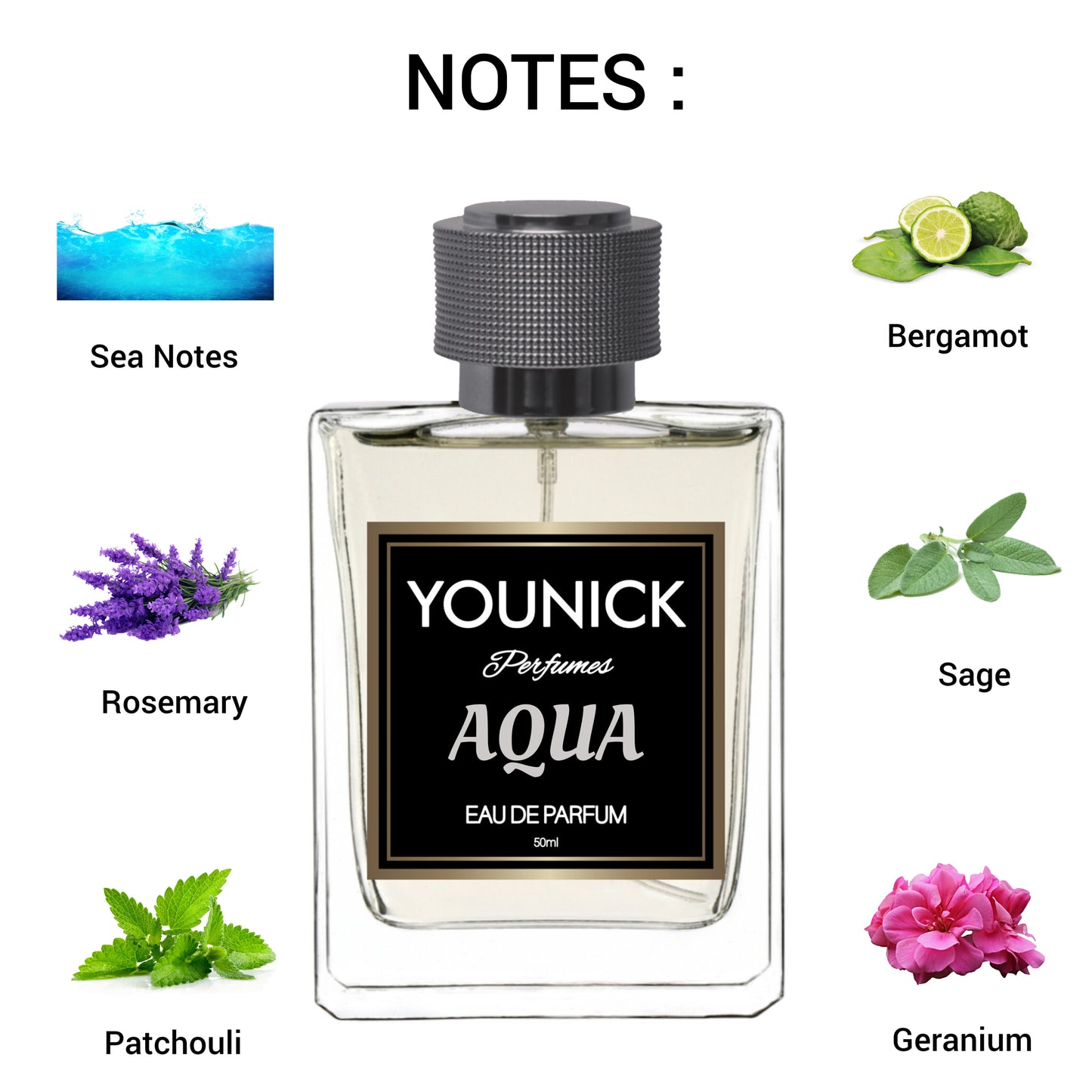 YOUNICK AQUA 50ML Eau de Parfum – The Essence of Fresh Elegance (Inspired By A*qua di G*0 Profumo by Gi*rgio Arm*ni)