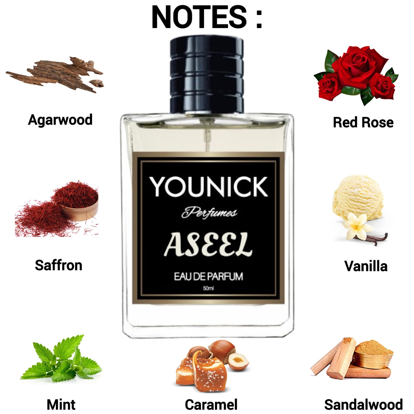 ASEEL 50ML/100ML EAU DE PARFUM UNISEX ARABIC PERFUME BY YOUNICK