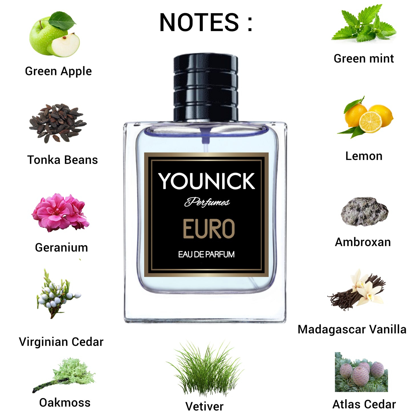 EURO Men's Perfume by Younick | Eau de Parfum 50ml/100ml – (Inspired By Eros Vers*ce) Fresh, Bold & Timeless Scent