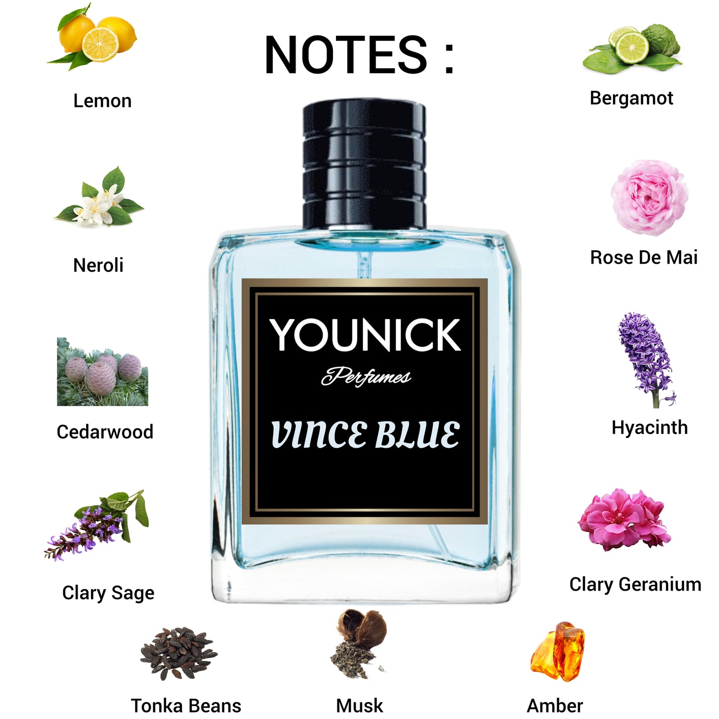 Vince Blue by Younick Perfumes | Inspired Version of Vers*ce Pour Hom*e | 50ml / 100ml Eau de Parfum