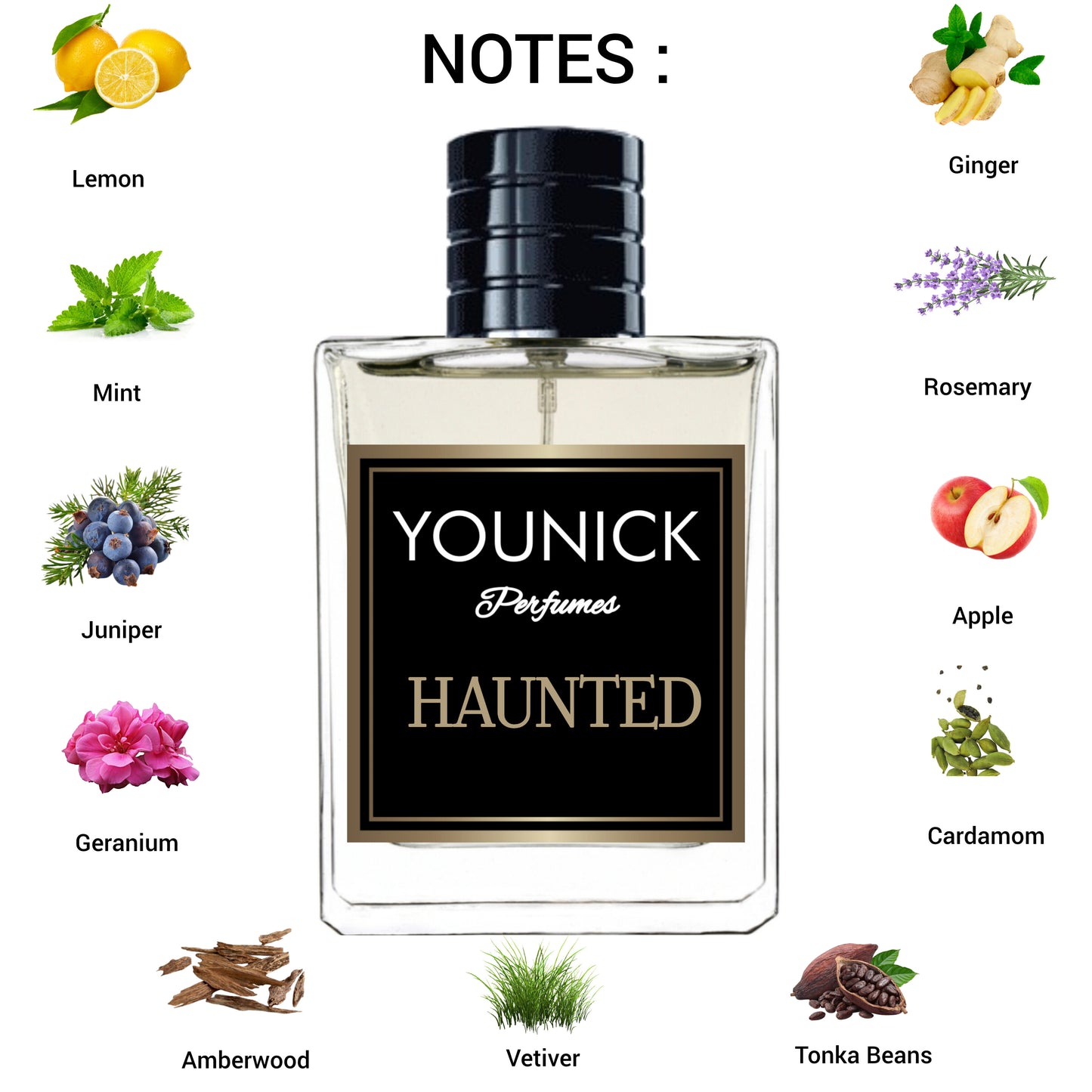 HAUNTED MEN PERFUME 50/100ML BY YOUNICK PERFUMES - LONG-LASTING EAU DE PARFUM INSPIRED VERSION OF WANTED AZZ*RO