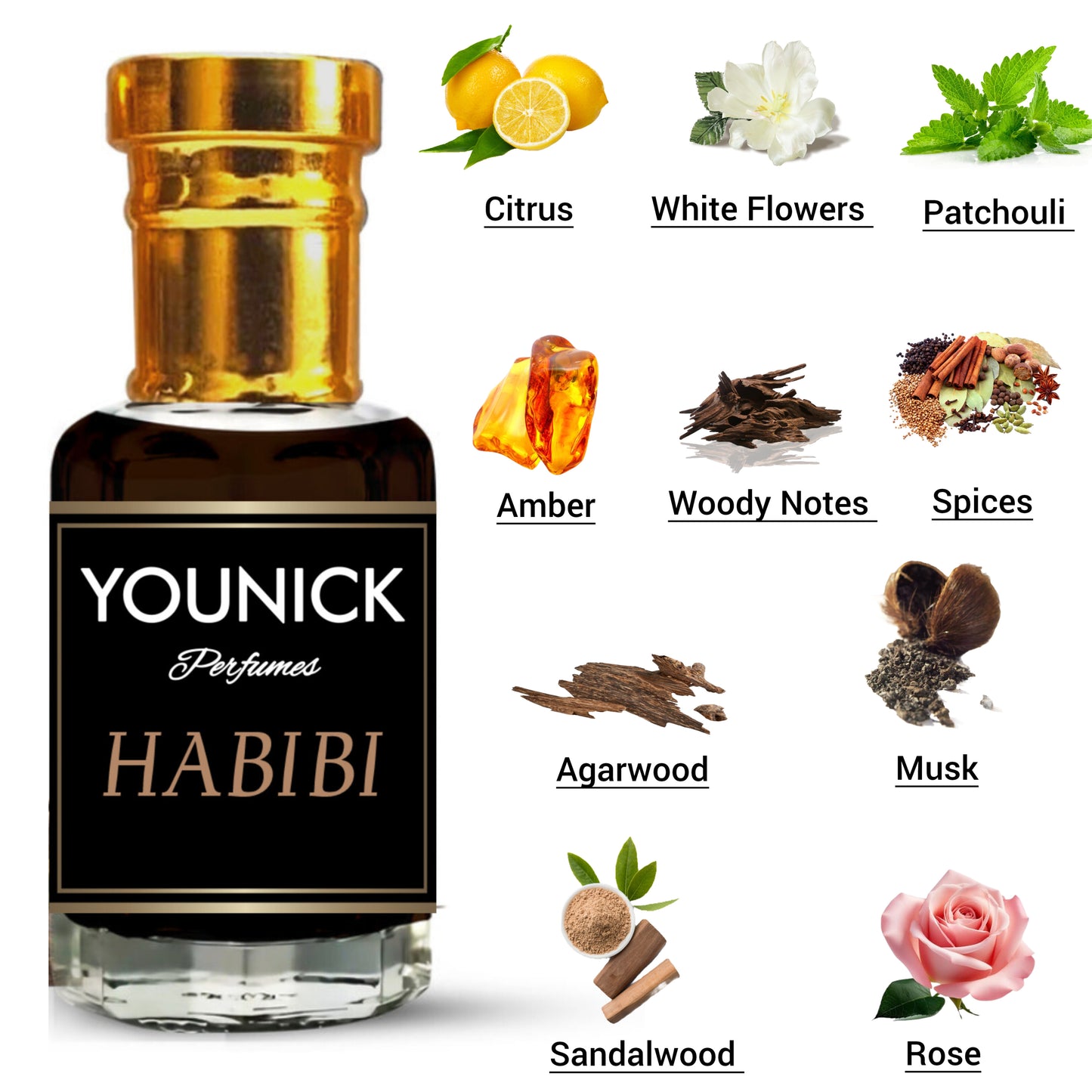 HABIBI ATTAR BY YOUNICK (6ML/12ML) - PREMIUM BLEND OF OUD, AMBER & FLORAL NOTES