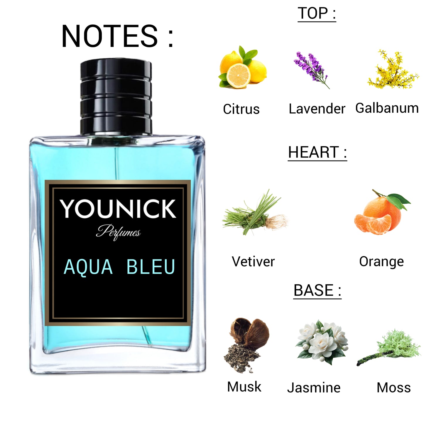 AQUA BLEU BY YOUNICK Eau de Parfum – Inspired by Ti🅣an ⓢkinn Amãlfi Bleu (50ml/100ml)