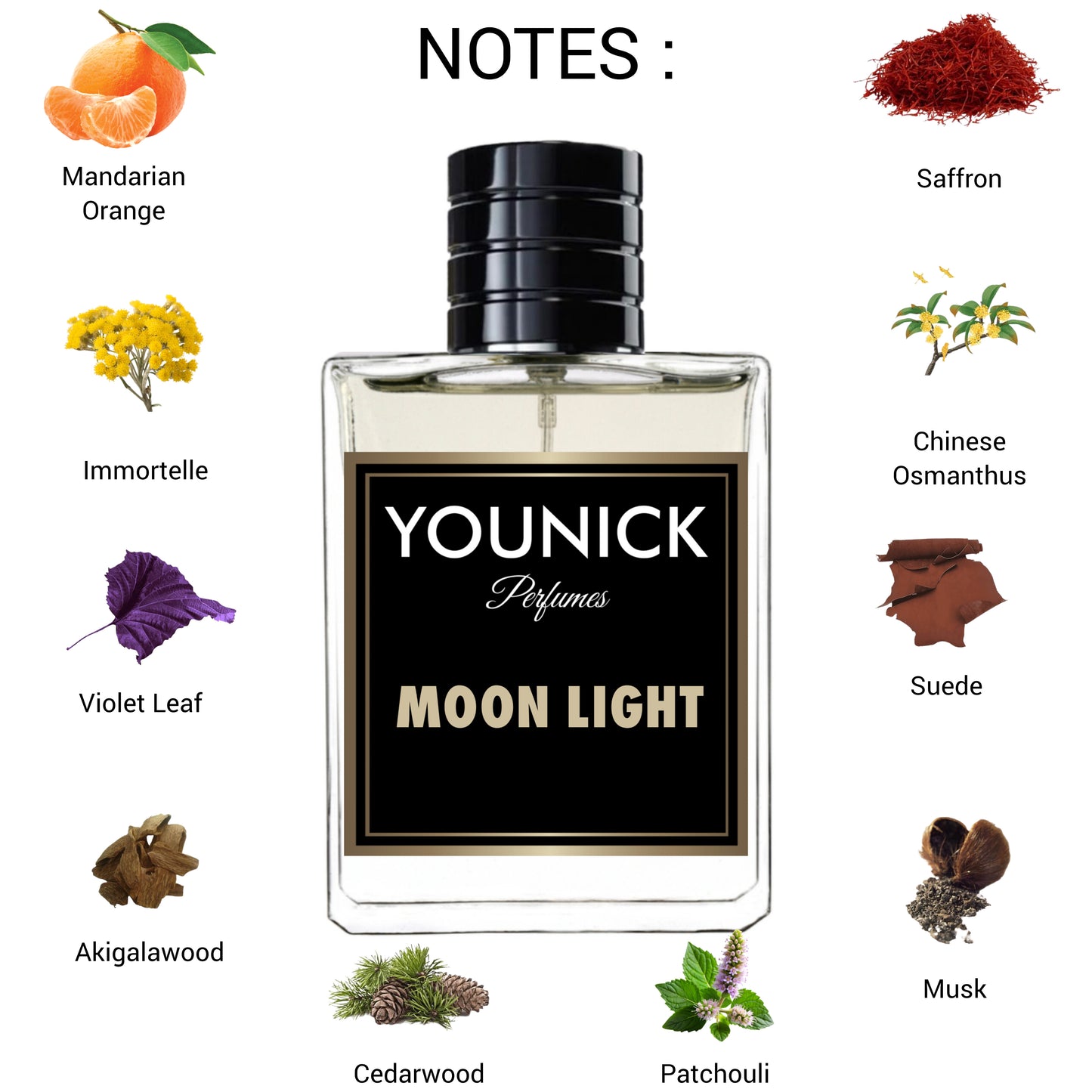 Moon Light Eau de Parfum - 50/100ml Unisex Signature Fragrance