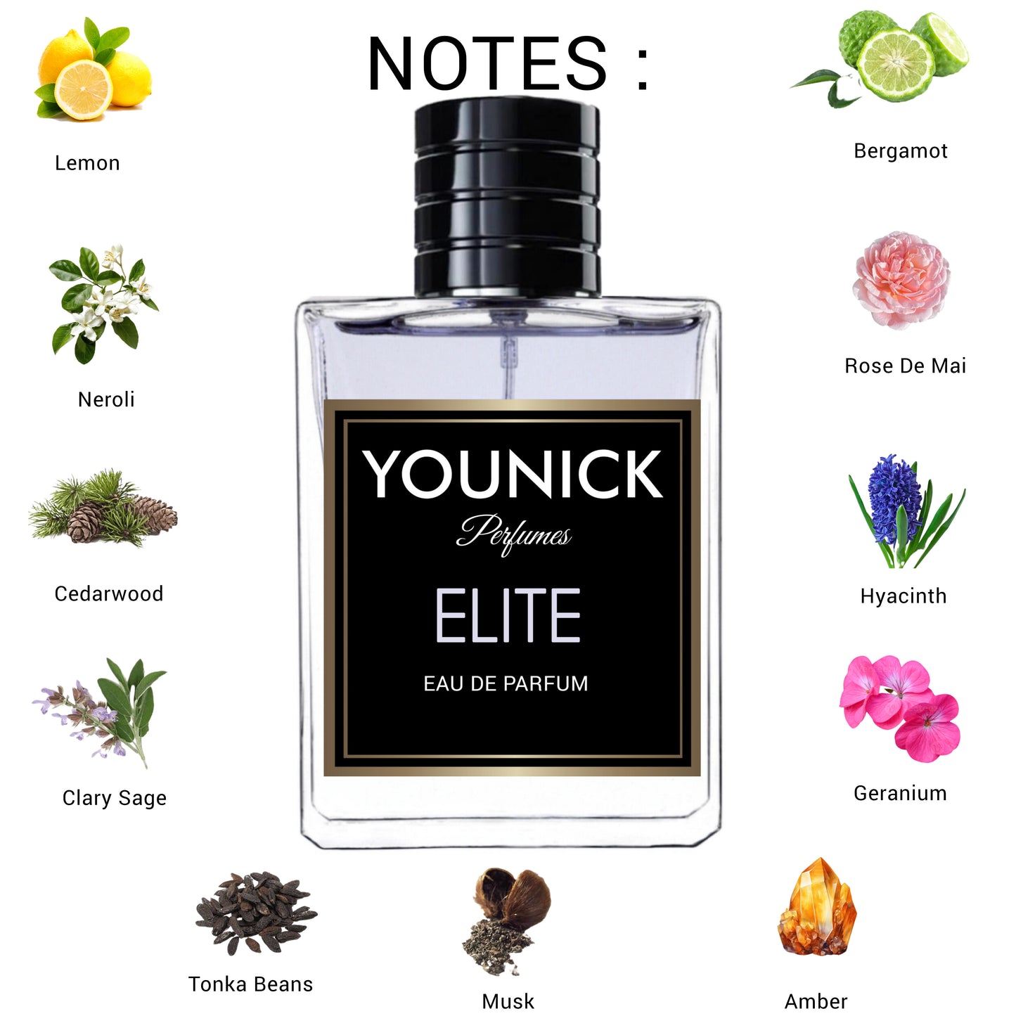 ELITE by YOUNICK – 50ml / 100ml Eau de Parfum | Inspired by VÉrsȺce Pour Homme