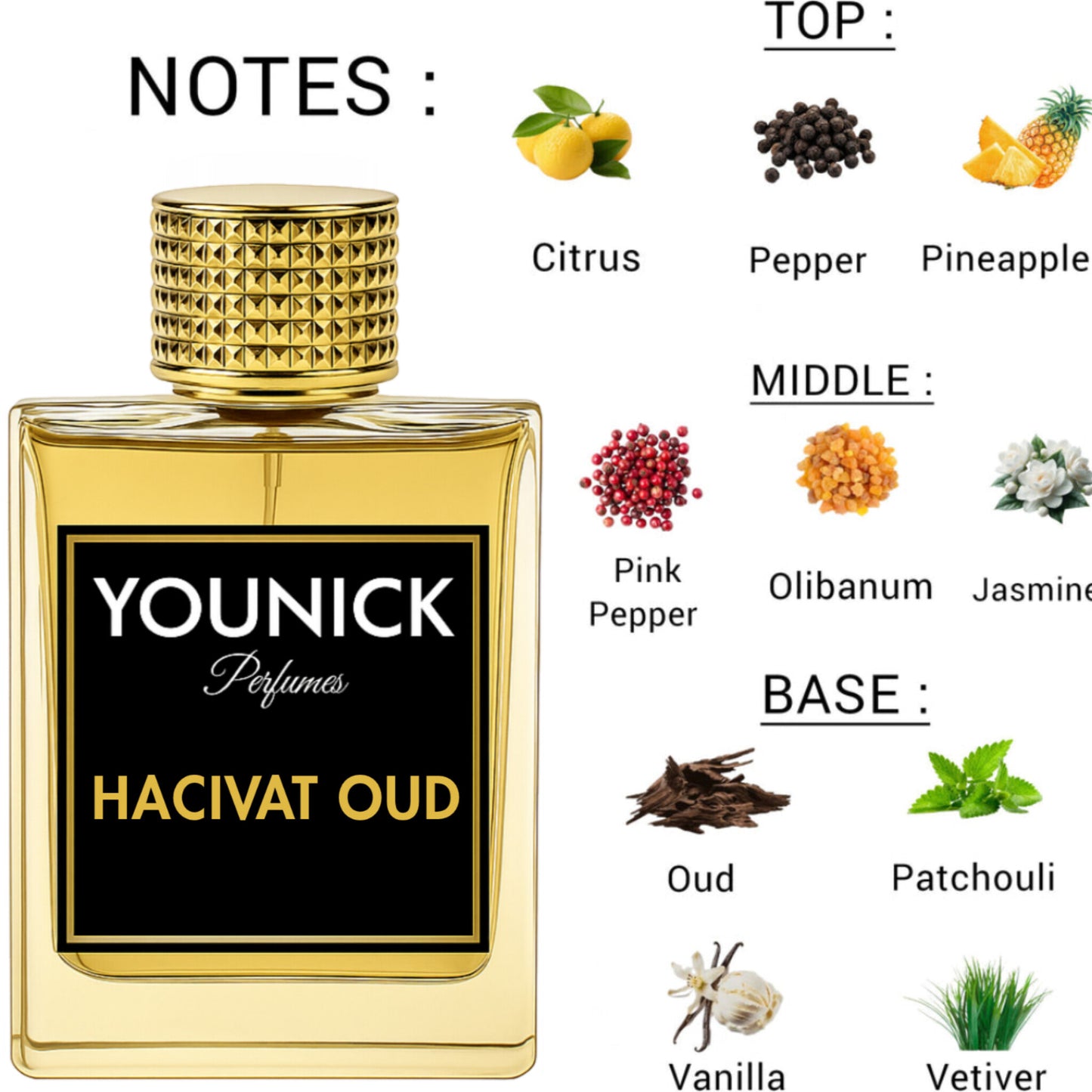 Hacivat Oud by YOUNICK – Eau De Parfum (50ml / 100ml) Inspired by Hacivat Oud Nishane