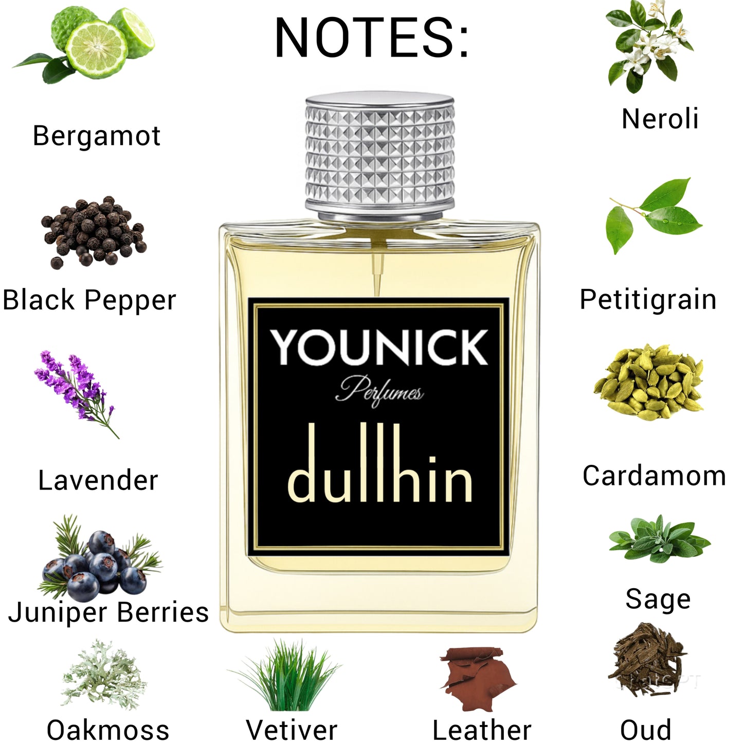 YOUNICK Dullhin Eau de Parfum 50ml / 100ml – Inspired by Dunhill Icon | The Signature Scent of Elegance
