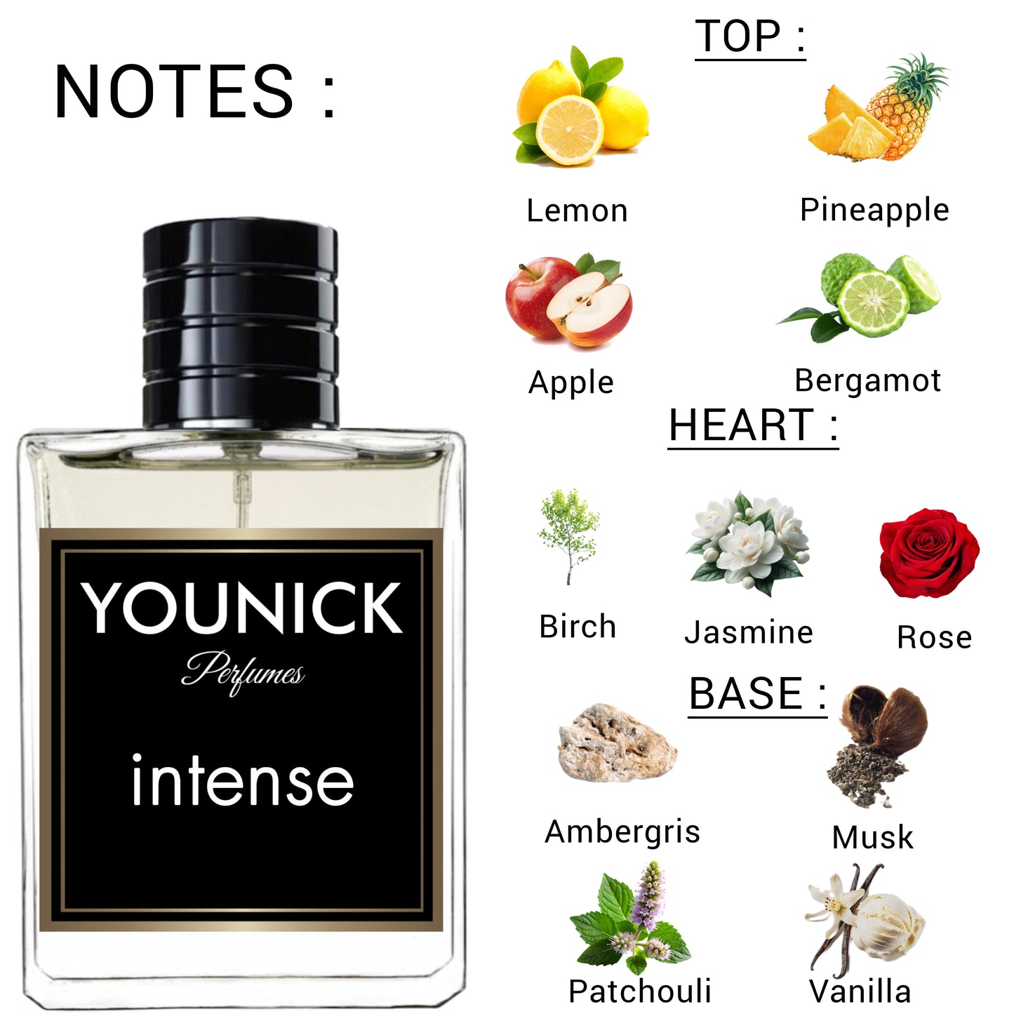 Intense by YOUNICK Eau de Parfum – 50ml / 100ml | Inspired by Club de Nuit Intense Man
