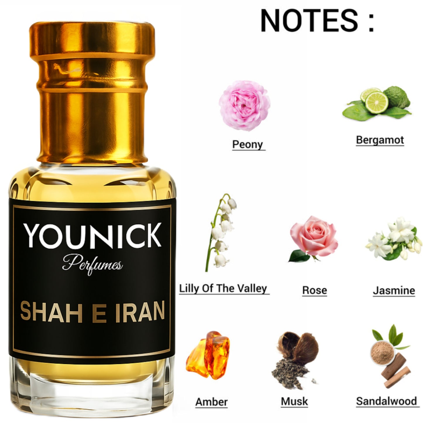 SHAH-E-IRAN Attar by YOUNICK Perfumes – Luxurious Oriental Unisex Fragrance