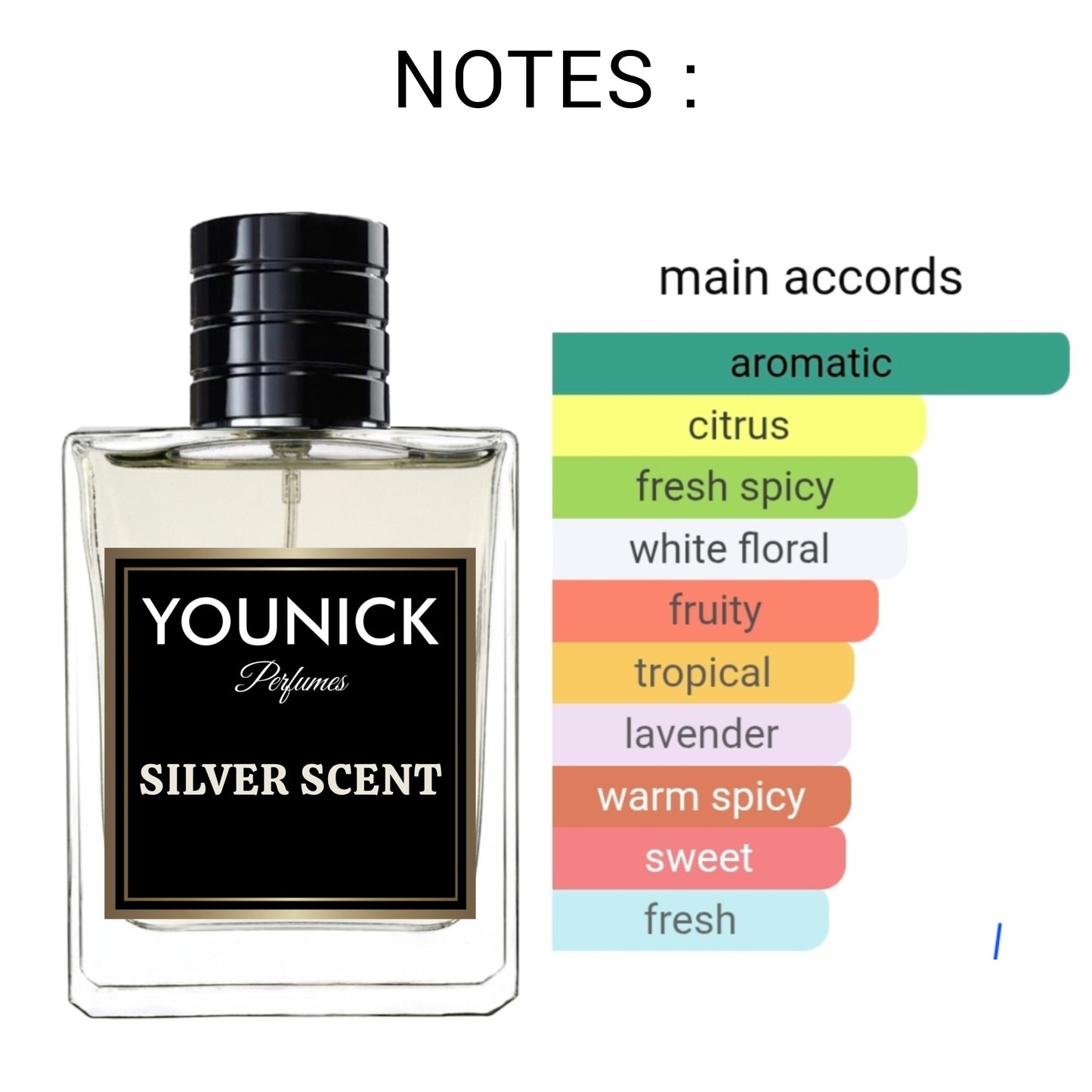 YOUNICK Silver Scent Eau De Parfum – Bold, Masculine & Timeless Fragrance (Inspired by Jacques Bogart Silver Scent)