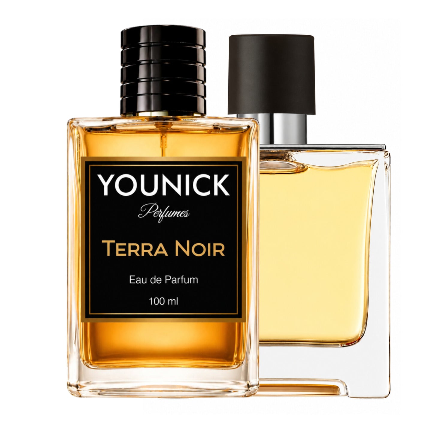 YOUNICK Terra Noir Eau De Parfum – Citrus Woody Luxury Fragrance for Men